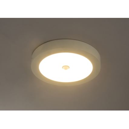Globo - LED plafonska svetiljka za spoljašnju upotrebu sa senzorom LED/18W/230V IP44