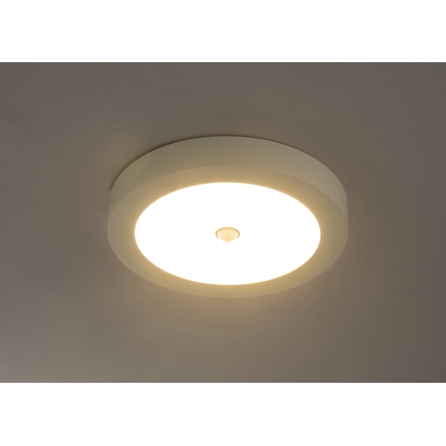Globo - LED plafonska svetiljka za spoljašnju upotrebu sa senzorom LED/18W/230V IP44
