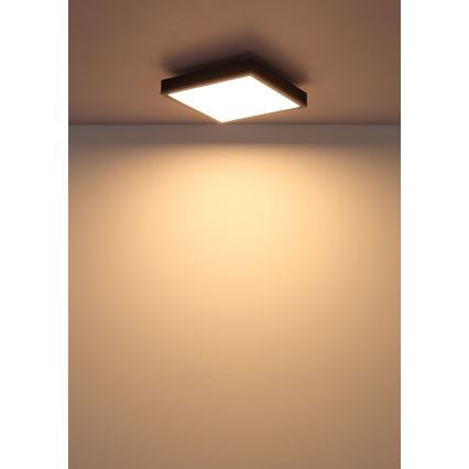 Globo - LED stropno svetlo LED/12W/230V 3000K 30x30 cm
