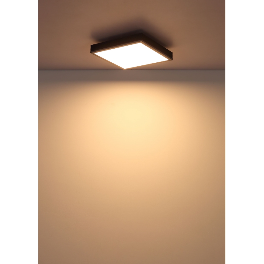 Globo - LED stropno svetlo LED/12W/230V 3000K 30x30 cm