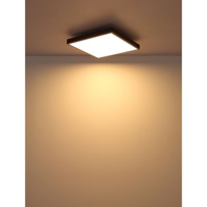 Globo - LED plafonsko svetlo LED/24W/230V 3000K 45x45 cm