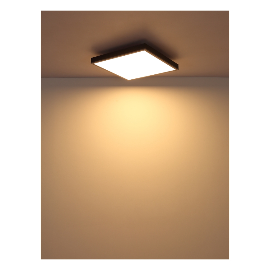 Globo - LED plafonsko svetlo LED/24W/230V 3000K 45x45 cm