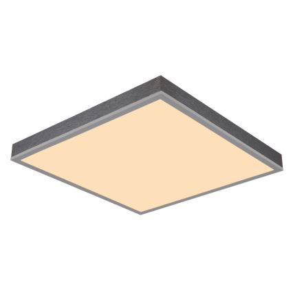 Globo - LED plafonsko svetlo LED/24W/230V 3000K 45x45 cm