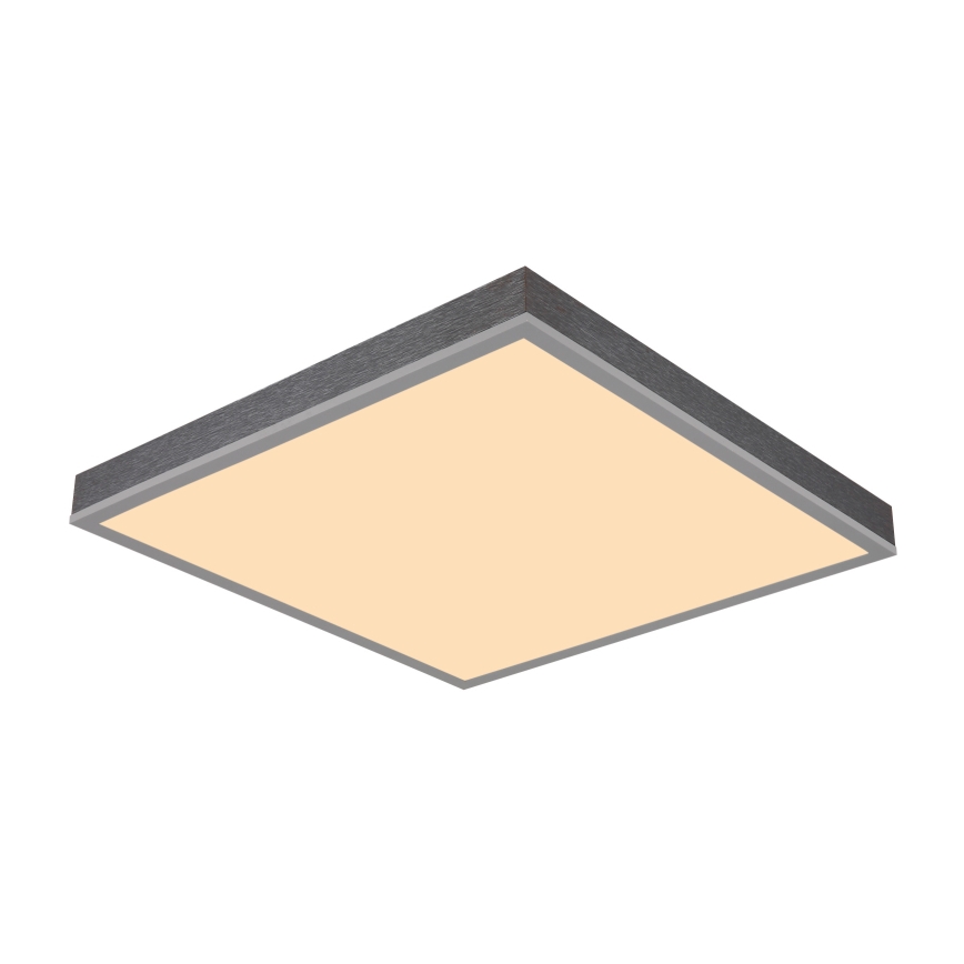 Globo - LED plafonsko svetlo LED/24W/230V 3000K 45x45 cm