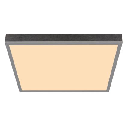 Globo - LED plafonsko svetlo LED/24W/230V 3000K 45x45 cm