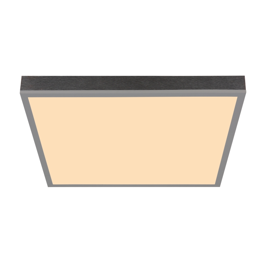 Globo - LED plafonsko svetlo LED/24W/230V 3000K 45x45 cm
