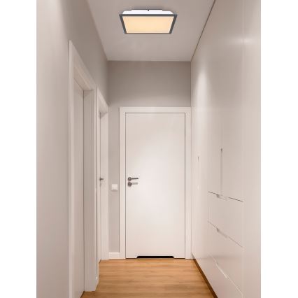 Globo - LED plafonsko svetlo LED/12W/230V
