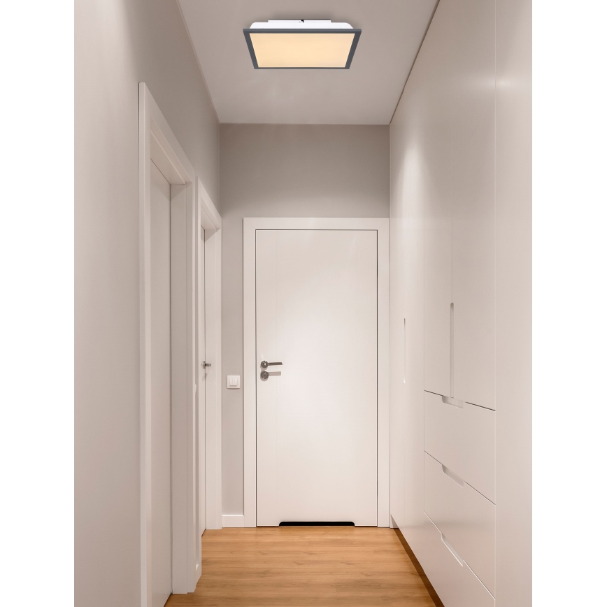 Globo - LED plafonsko svetlo LED/12W/230V
