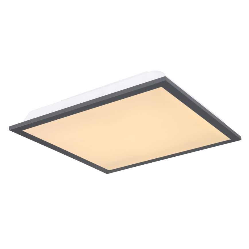 Globo - LED plafonsko svetlo LED/12W/230V