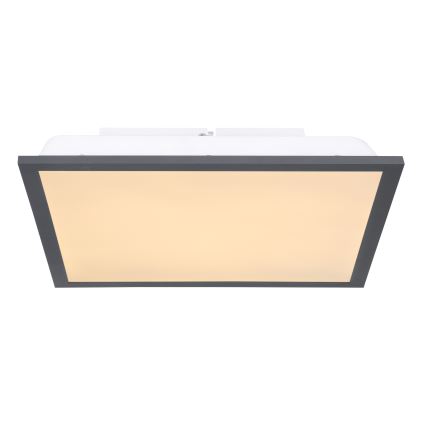 Globo - LED plafonsko svetlo LED/12W/230V