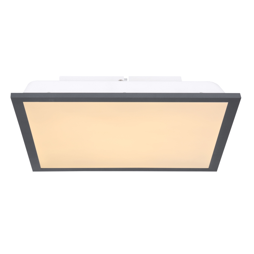 Globo - LED plafonsko svetlo LED/12W/230V