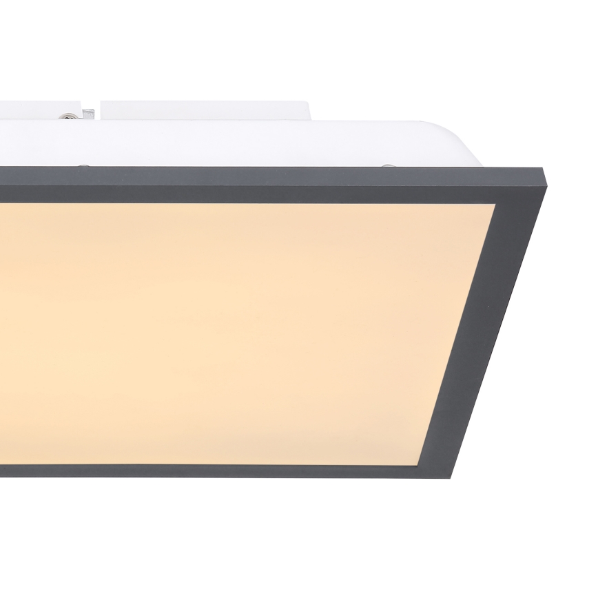 Globo - LED plafonsko svetlo LED/12W/230V
