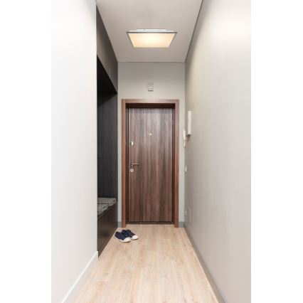 Globo - LED plafonsko svetlo LED/24W/230V