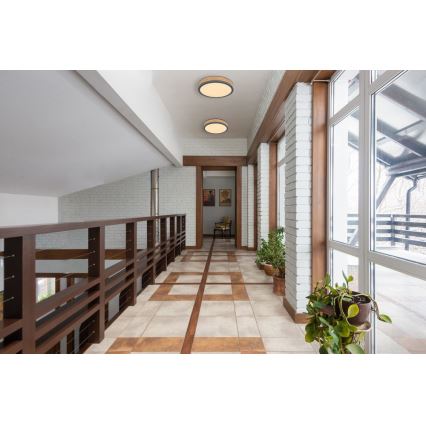 Globo - LED plafonsko svetlo 12W/230V, prečnika 30 cm