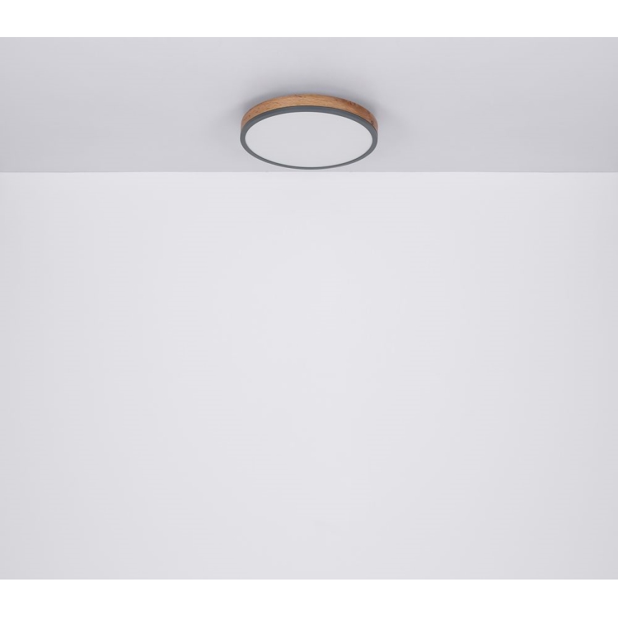Globo - LED plafonsko svetlo 12W/230V, prečnika 30 cm