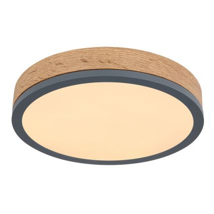 Globo - LED plafonsko svetlo 12W/230V, prečnika 30 cm