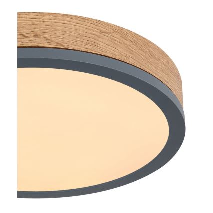 Globo - LED plafonsko svetlo 12W/230V, prečnika 30 cm