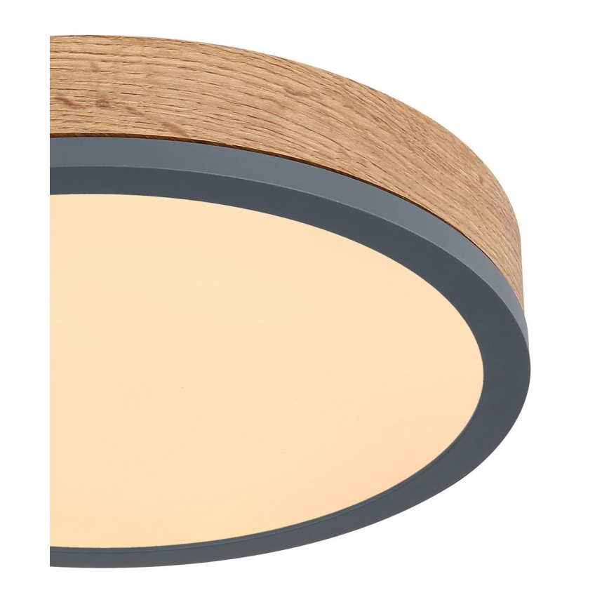 Globo - LED plafonsko svetlo 12W/230V, prečnika 30 cm