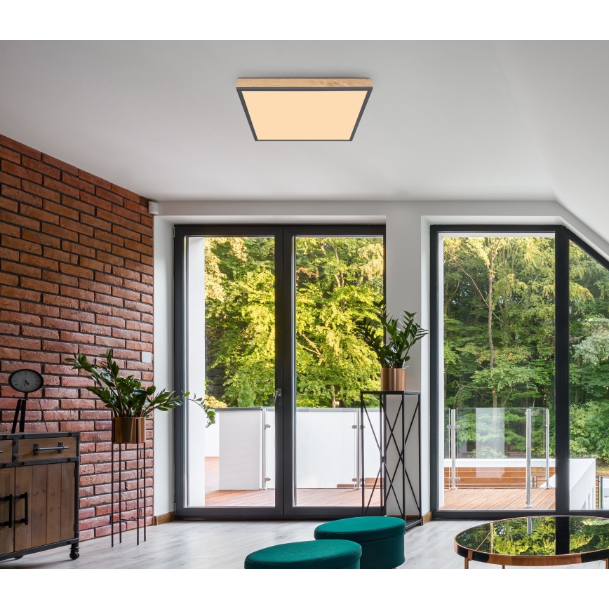 Globo - LED plafonsko svetlo LED/24W/230V