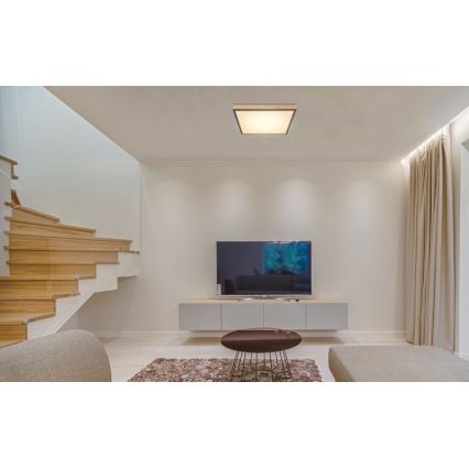 Globo - LED plafonsko svetlo LED/24W/230V
