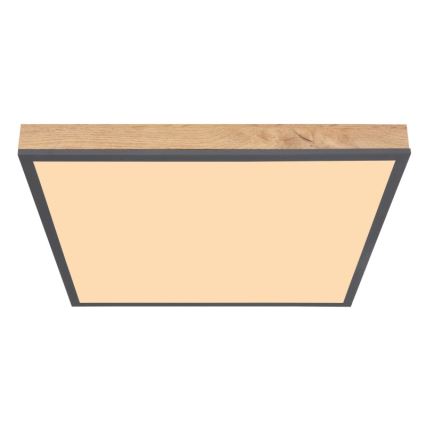 Globo - LED plafonsko svetlo LED/24W/230V