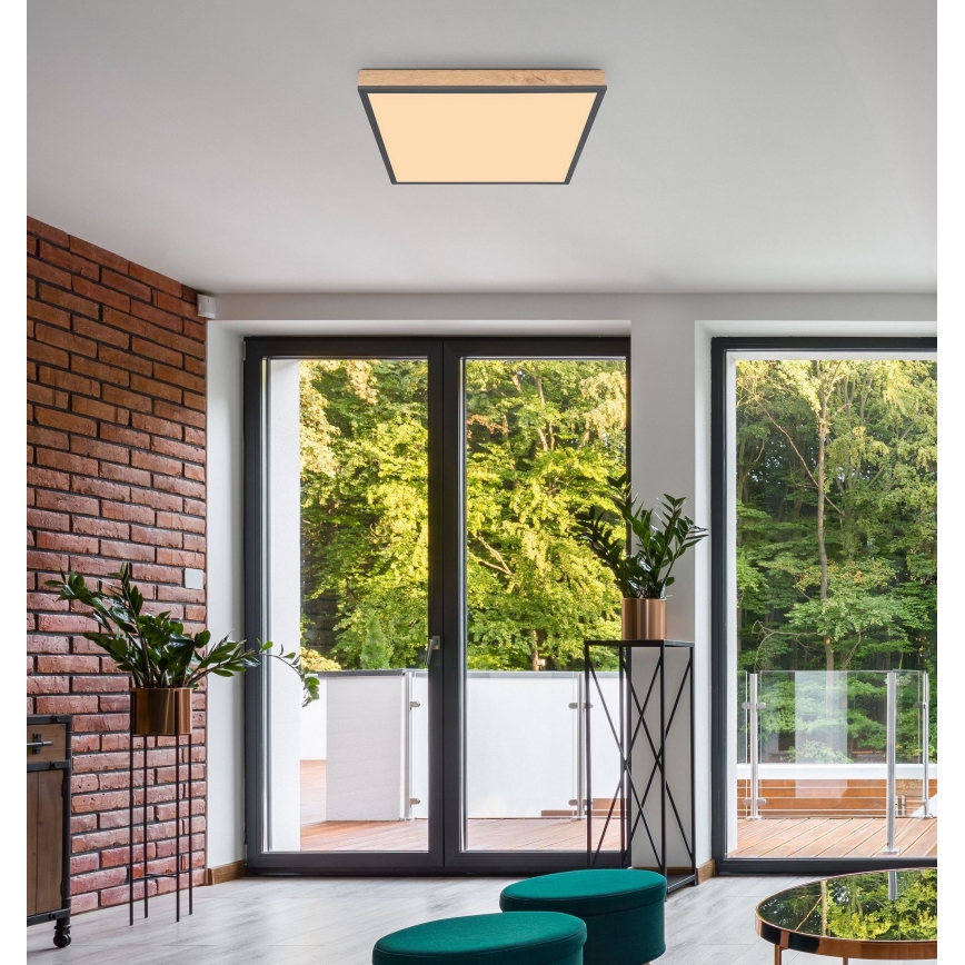Globo - LED plafonsko svetlo LED/36W/230V