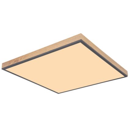 Globo - LED plafonsko svetlo LED/36W/230V