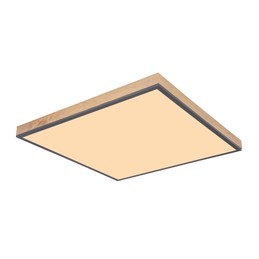 Globo - LED plafonsko svetlo LED/36W/230V