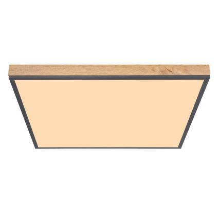 Globo - LED plafonsko svetlo LED/36W/230V