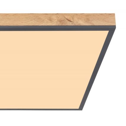 Globo - LED plafonsko svetlo LED/36W/230V