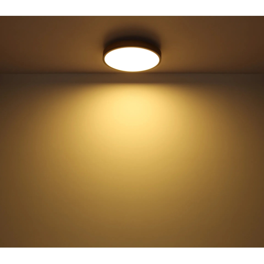 Globo - prigušiva LED plafonska svetiljka 40W/230V 2700-6500K prečnik 60 cm + daljinski upravljač braon/siva