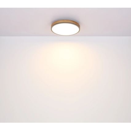 Globo - prigušiva LED plafonska svetiljka 40W/230V 2700-6500K prečnik 60 cm + daljinski upravljač braon/siva