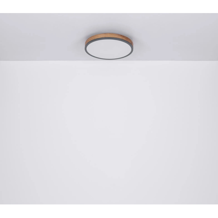 Globo - prigušiva LED plafonska svetiljka 40W/230V 2700-6500K prečnik 60 cm + daljinski upravljač braon/siva