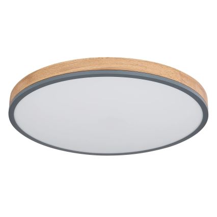 Globo - prigušiva LED plafonska svetiljka 40W/230V 2700-6500K prečnik 60 cm + daljinski upravljač braon/siva