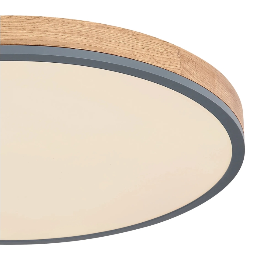Globo - prigušiva LED plafonska svetiljka 40W/230V 2700-6500K prečnik 60 cm + daljinski upravljač braon/siva