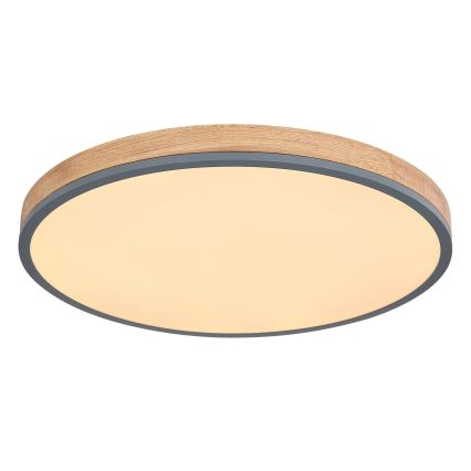 Globo - prigušiva LED plafonska svetiljka 40W/230V 2700-6500K prečnik 60 cm + daljinski upravljač braon/siva