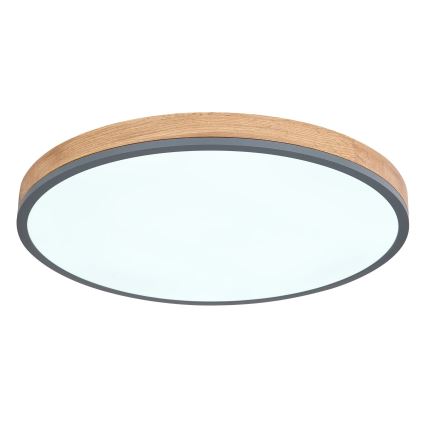 Globo - prigušiva LED plafonska svetiljka 40W/230V 2700-6500K prečnik 60 cm + daljinski upravljač braon/siva