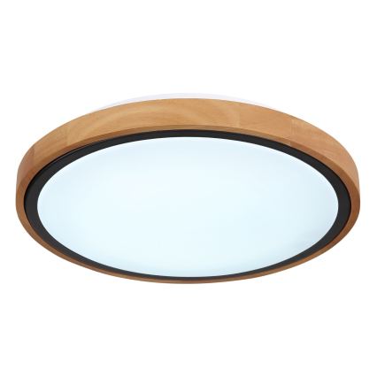 Globo - LED plafonska svetiljka LED/12W/230V 307 mm 3000/4500/6000K