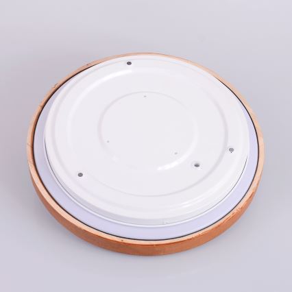 Globo - LED plafonska svetiljka LED/12W/230V 307 mm 3000/4500/6000K