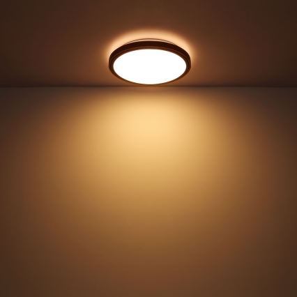 Globo - LED plafonska svetiljka LED/12W/230V 307 mm 3000/4500/6000K