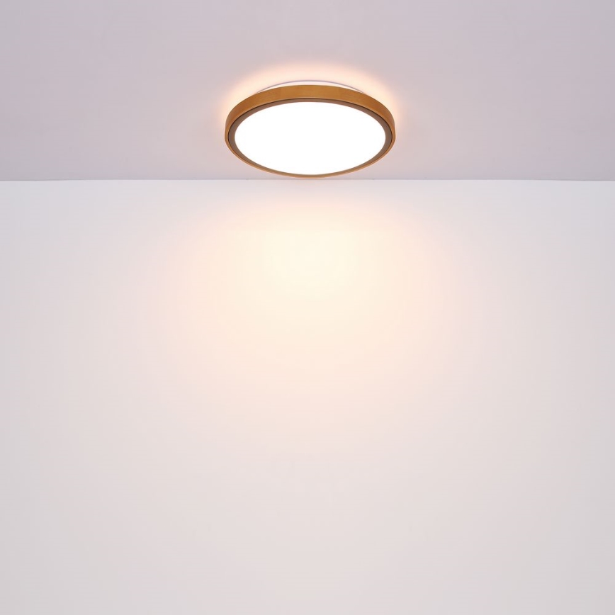 Globo - LED plafonska svetiljka LED/12W/230V 307 mm 3000/4500/6000K