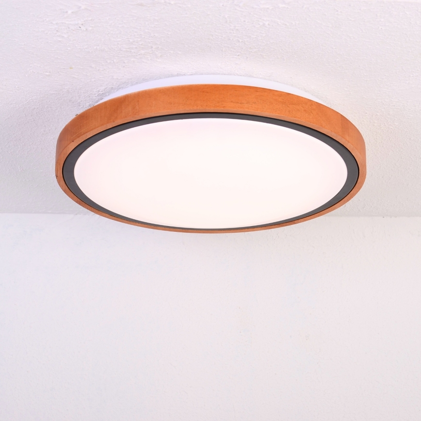 Globo - LED plafonska svetiljka LED/12W/230V 307 mm 3000/4500/6000K