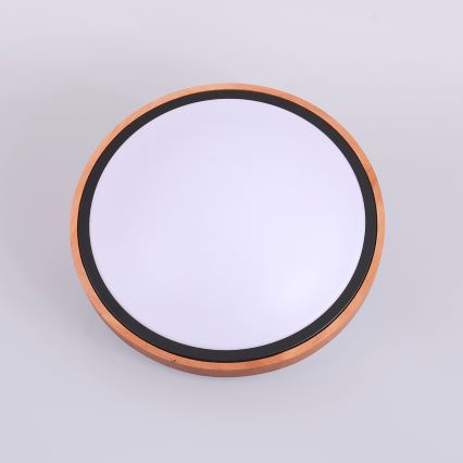 Globo - LED plafonska svetiljka LED/12W/230V 307 mm 3000/4500/6000K