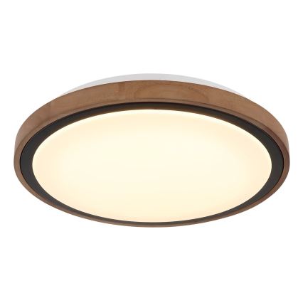 Globo - LED plafonska svetiljka LED/18W/230V 3000/4000/6000K