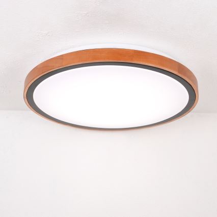Globo - LED plafonsko svetlo LED/24W/230V 3000/4500/6000K prečnik 43,7 cm