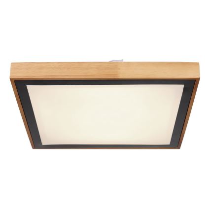 Globo - LED plafonsko svetlo LED/24W/230V 3000/4500/6000K