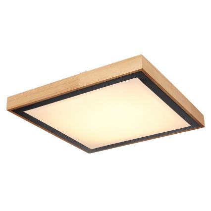 Globo - LED plafonsko svetlo LED/24W/230V 3000/4500/6000K