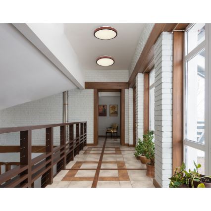 Globo - LED plafonsko svetlo LED/12W/230V 3000/4500/6000K prečnika 30 cm