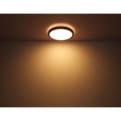 Globo - LED plafonsko svetlo LED/12W/230V 3000/4500/6000K prečnika 30 cm