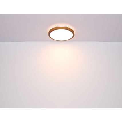 Globo - LED plafonsko svetlo LED/12W/230V 3000/4500/6000K prečnika 30 cm